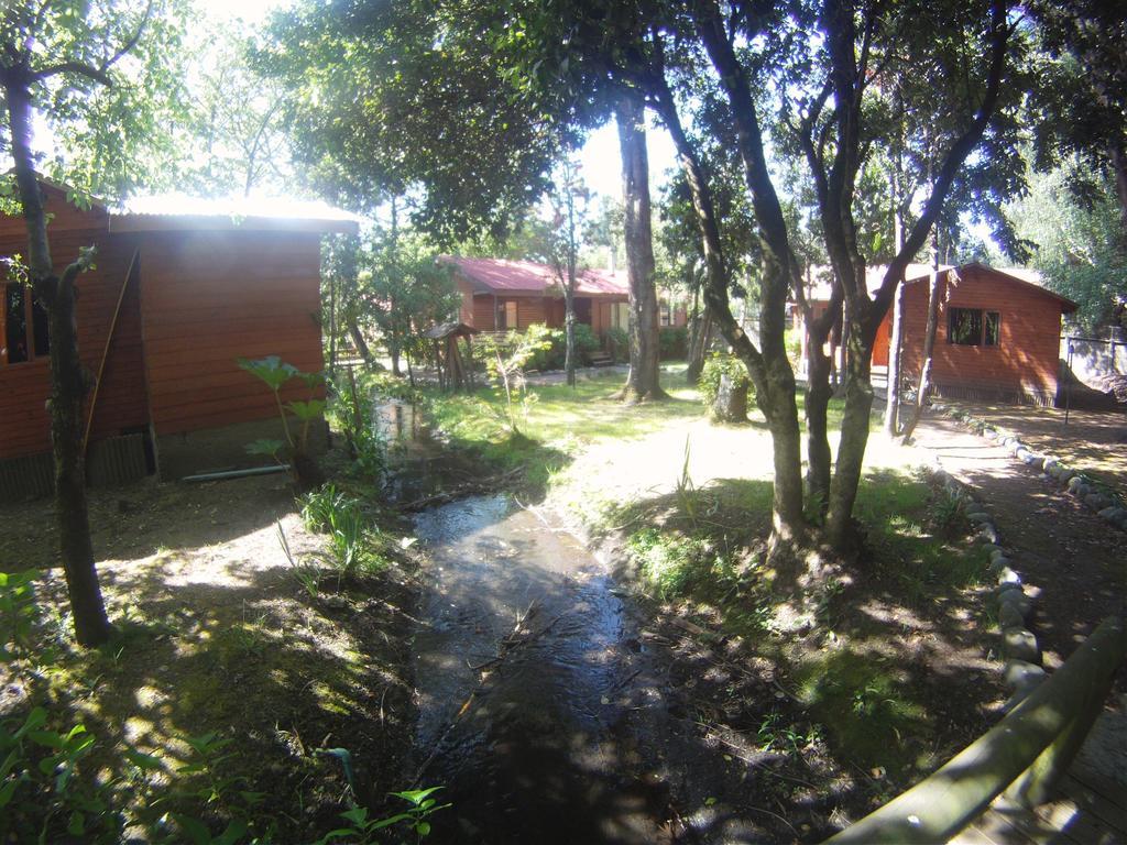 Cabanas Santa Maria Pucón Exterior foto